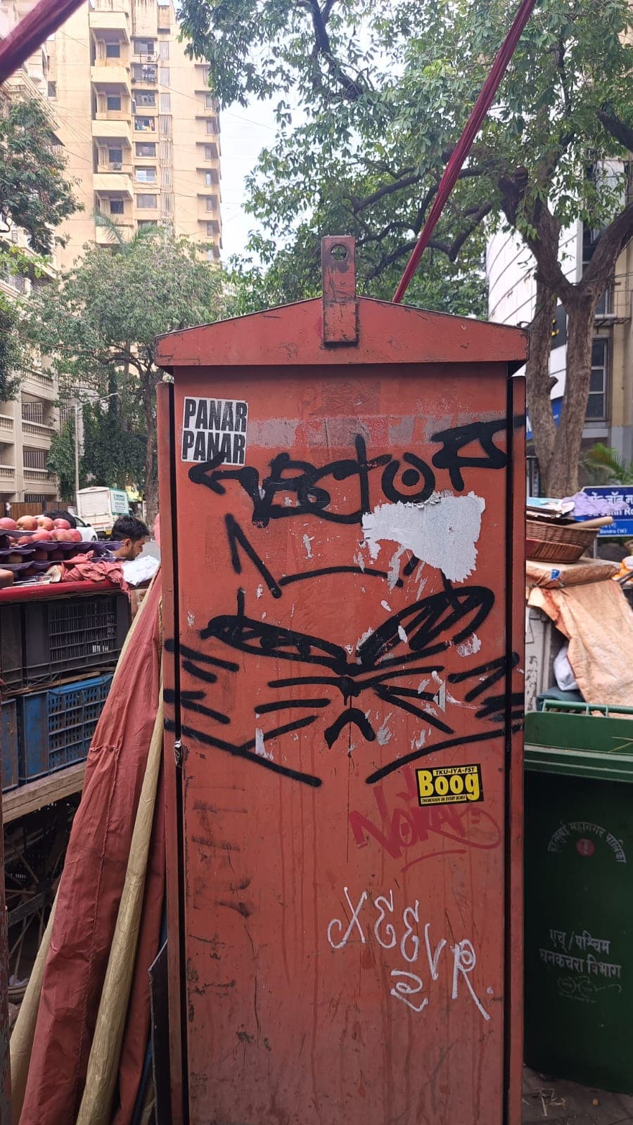 By now you know how much I love Cats !